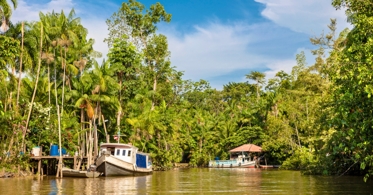 A COP30 será realizada no Brasil este ano!