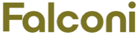 Falconi Consultores