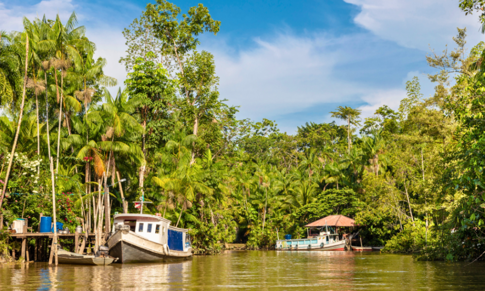 A COP30 será realizada no Brasil este ano!