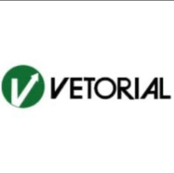 Vetorial Siderurgia S/A